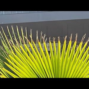 Meet your Posher, Anne